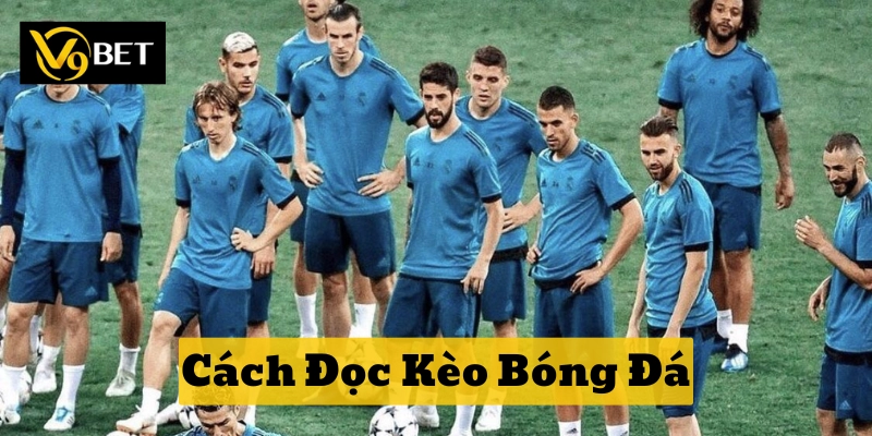 Cách Đọc Kèo Bóng Đá: 5 Bước cho mọi loại kèo chuẩn xác